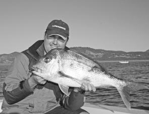 It’s time to target big snapper on soft plastics in the shallows. There are plenty of spots around Port Stephens.